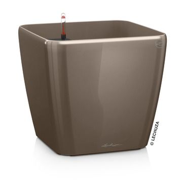 QUADRO Premium 28 QUADRO Premium 28