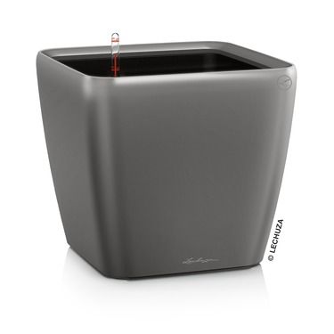 QUADRO Premium 43 LS QUADRO Premium 43 LS