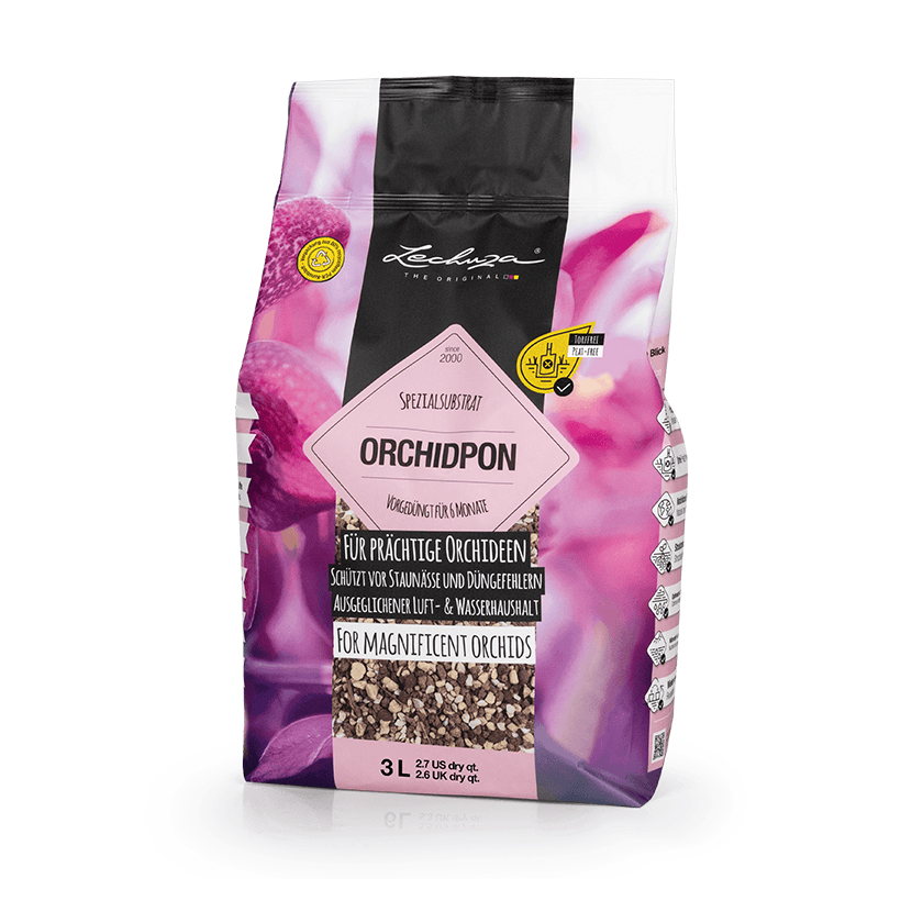 Lechuza Orchidpon